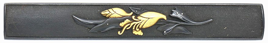 Kozuka 18